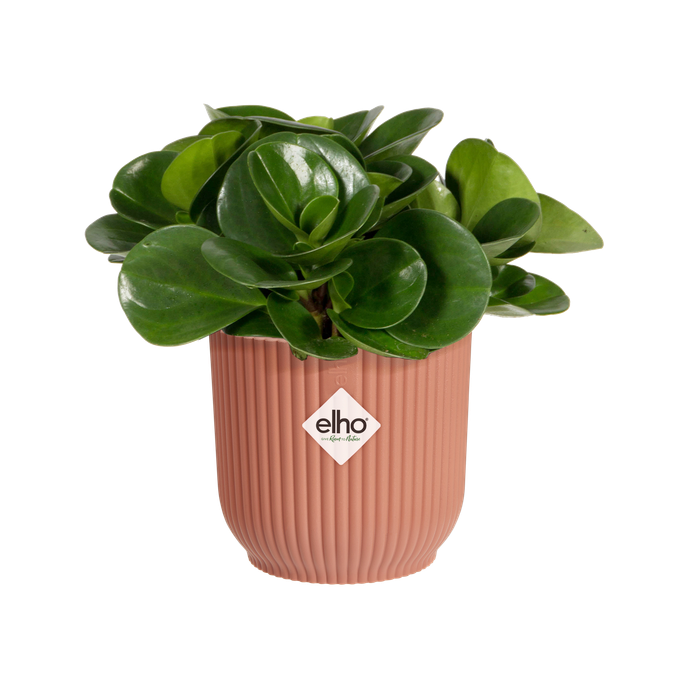 vibes fold rund mini 9cm zartrosa